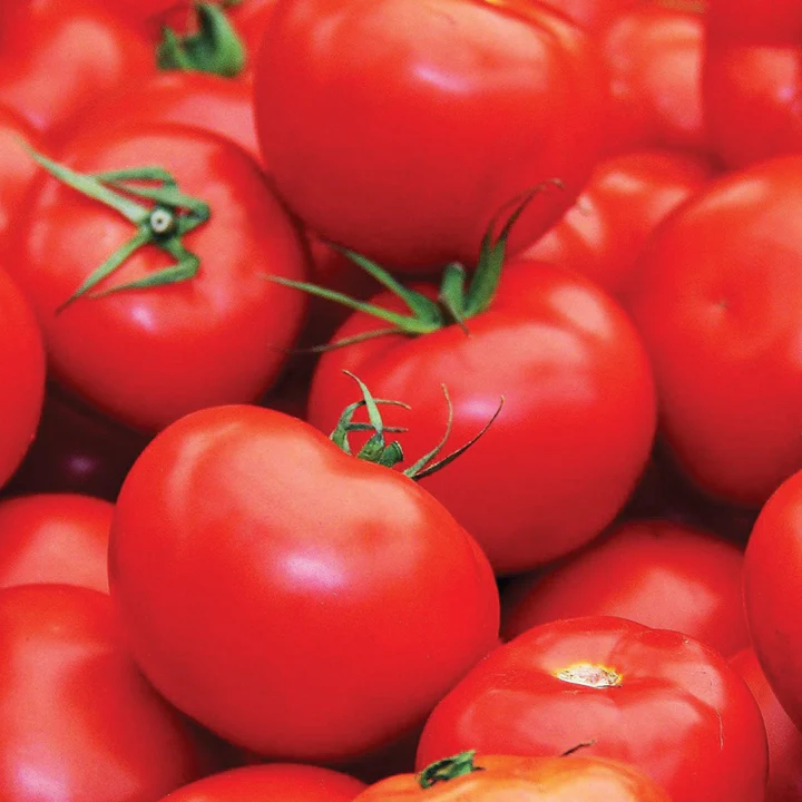 tomatoes